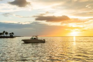 BOSTON WHALER 240 Vantage