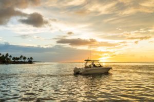 BOSTON WHALER 240 Vantage