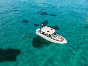 BOSTON WHALER 330 Vantage