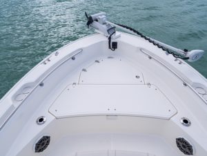 BOSTON WHALER 220 Dauntless