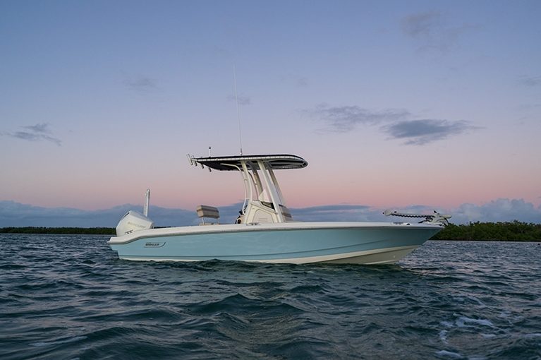 BOSTON WHALER 220 Dauntless