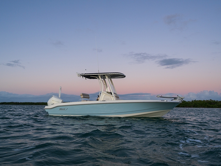 BOSTON WHALER 220 Dauntless