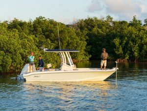 BOSTON WHALER 220 Dauntless