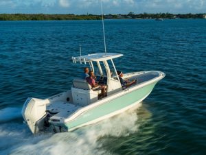 BOSTON WHALER 250 Dauntless