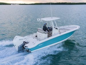 BOSTON WHALER 250 Dauntless