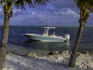 BOSTON WHALER 250 Dauntless