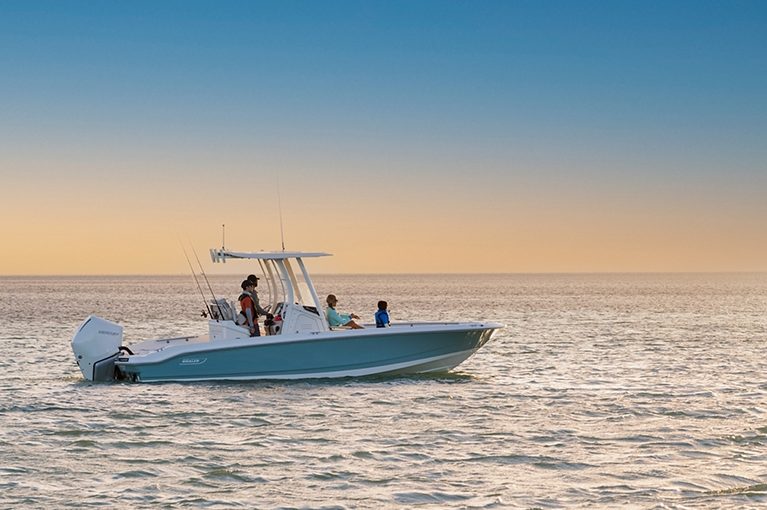 BOSTON WHALER 250 Dauntless