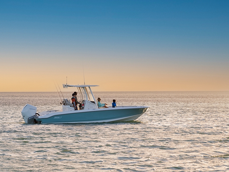 BOSTON WHALER 250 Dauntless