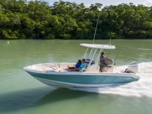 BOSTON WHALER 250 Dauntless