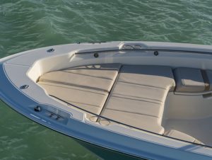 BOSTON WHALER 250 Dauntless