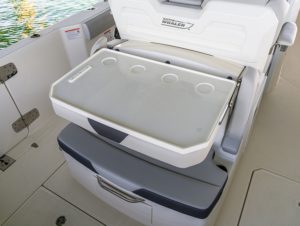 BOSTON WHALER 330 outrage