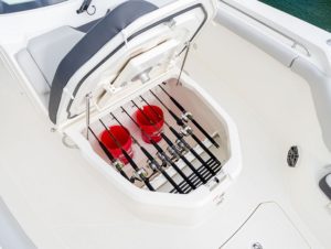 BOSTON WHALER 330 outrage