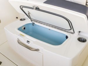 BOSTON WHALER 330 outrage