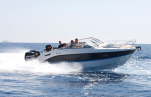 QUICKSILVER 805 Cruiser