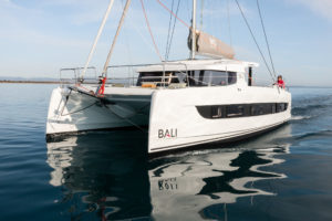 BALI Catsmart