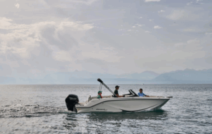 BAYLINER M19