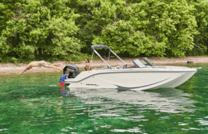 BAYLINER M19