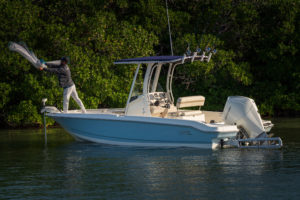 BOSTON WHALER 220 Dauntless