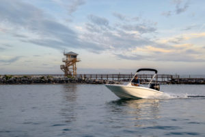 BOSTON WHALER 130 super sport