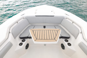 BOSTON WHALER 290 Outrage