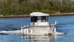 OCQUETEAU Ostrea 710 Timonier