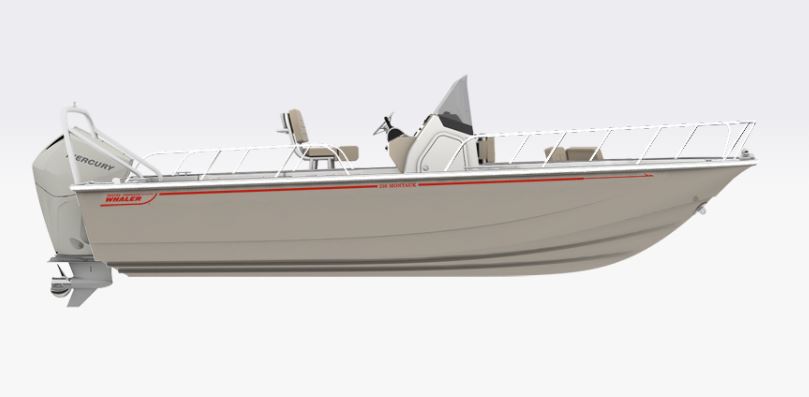 BOSTON WHALER - 210 Montauk