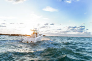 BOSTON WHALER 290 Outrage