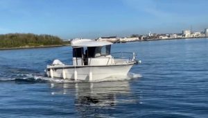 OCQUETEAU Ostrea 710 Timonier
